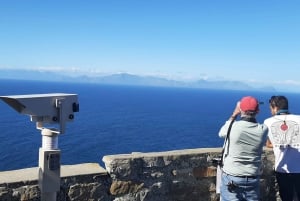 Cape Town: Cape of Good Hope and Sightseeing Tour
