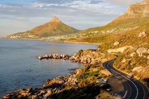 Le Cap : Circuit en groupe au Cap de Bonne Espérance et à Boulders Beach