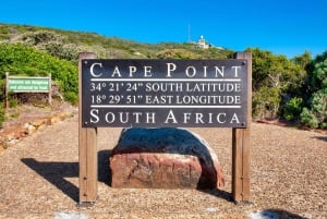 Le Cap : Circuit en groupe au Cap de Bonne Espérance et à Boulders Beach