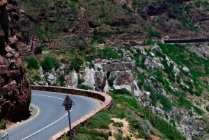 Le Cap : Circuit en groupe au Cap de Bonne Espérance et à Boulders Beach