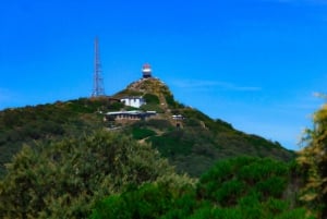 Le Cap : Circuit en groupe au Cap de Bonne Espérance et à Boulders Beach