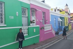 Cape Town: Cape of Good Hope, Penguins and Sightseeing Tour