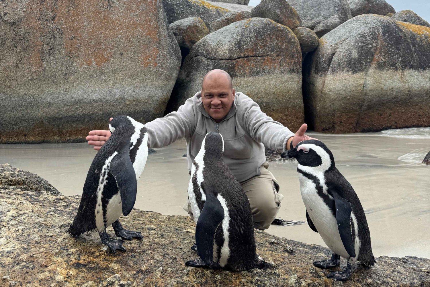 Città del Capo: Capo di Buona Speranza, pinguini e tour di Hout Bay