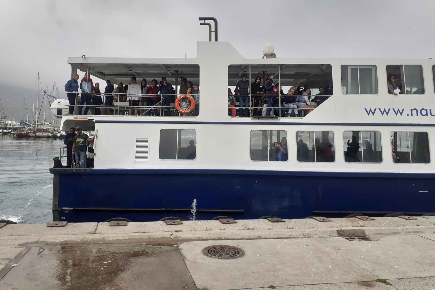 Kaapstad: Kaap de Goede Hoop, Instagram-groepstour met pinguïns