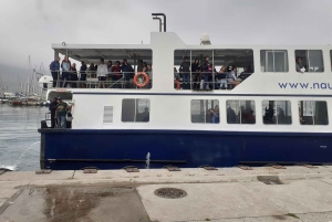 Kaapstad: Kaap de Goede Hoop, Instagram-groepstour met pinguïns