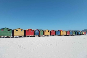 Kaapstad: Kaap de Goede Hoop, Instagram-groepstour met pinguïns