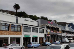 Kaapstad: Kaap de Goede Hoop, Instagram-groepstour met pinguïns