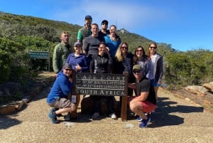 Kapstaden: Godahoppsudden, pingviner Instagram-upplevelse