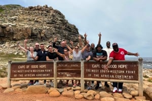 Kaapstad: Kaap de Goede Hoop, Pinguïns Instagram gedeelde tour