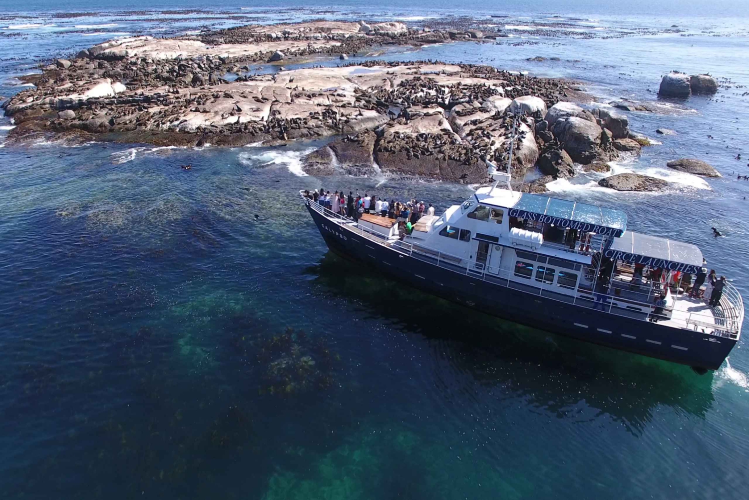 Kapstadt: Kap der Guten Hoffnung, Robben und Pinguine – Tagestour