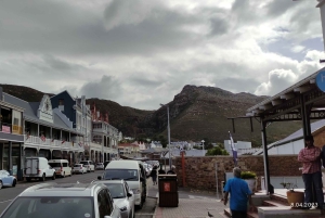 Kapstadt: Kap der Guten Hoffnung, Robben und Pinguine – Tagestour