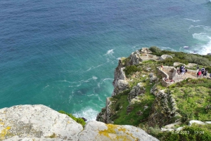 Kapstadt: Kap der Guten Hoffnung, Robben und Pinguine – Tagestour