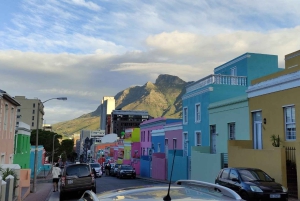 Kapstadt: Kap der Guten Hoffnung, Robben und Pinguine – Tagestour