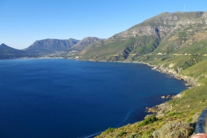 Cape Town Cape Of Good Hope Tour & Penguins Tour