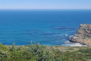 Cape Town Cape Of Good Hope Tour & Penguins Tour