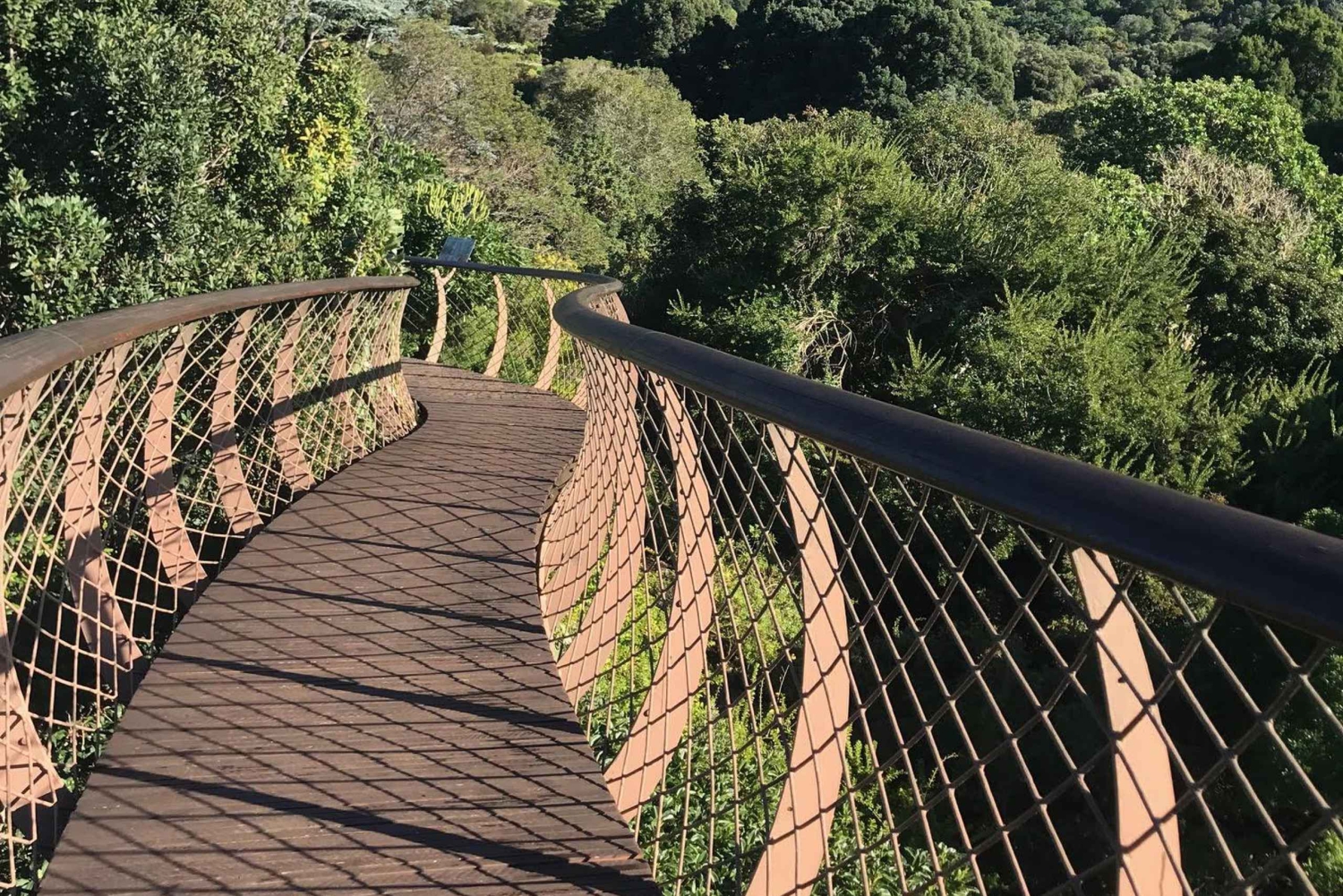 Cidade do Cabo: excursão de 1 dia pela Península do Cabo e pelos pinguins
