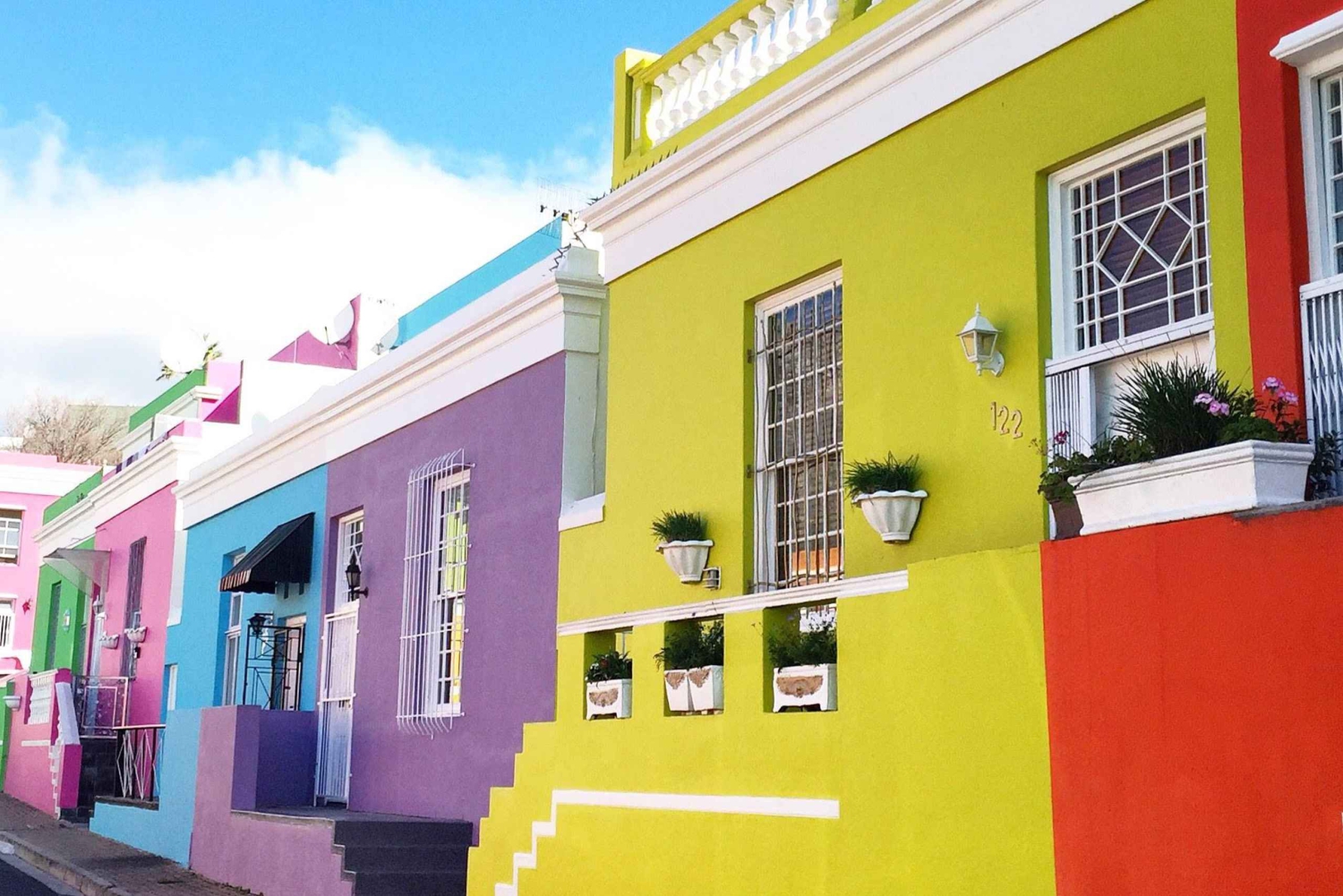 Cidade do Cabo: excursão de 1 dia pela Península do Cabo e pelos pinguins