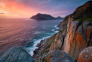 Cidade do Cabo: excursão de 1 dia pela Península do Cabo e pelos pinguins