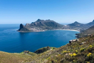 Cidade do Cabo: excursão de 1 dia pela Península do Cabo e pelos pinguins