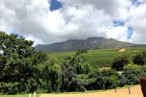 Cape Town: Cape Peninsula and Wine Route Tour