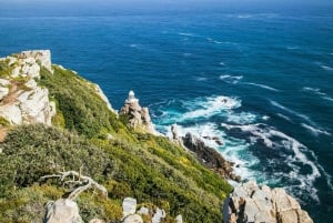 Città del Capo: tour combinato di un'intera giornata della penisola del Capo e di Winelands