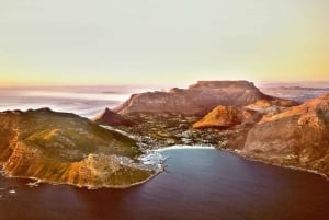 Kaapstad: Kaapse Schiereiland en Wijnlanden Full Day Combo Tour