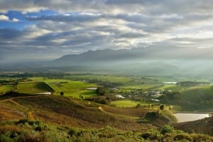 Kapstadt: Kap-Halbinsel & Winelands Kombi-Tagestour