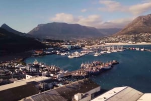 Cidade do Cabo: Excursão combinada de dia inteiro à Península do Cabo e Winelands