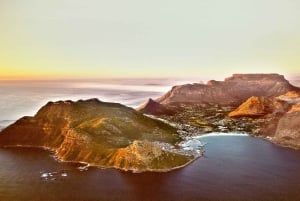 Kapkaupunki: Kapin niemimaan ja Winelandsin koko päivän yhdistelmäkierros