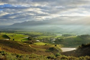 Kapkaupunki: Kapin niemimaan ja Winelandsin koko päivän yhdistelmäkierros