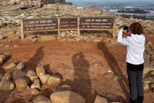 Cape Town: Cape Peninsula & Boulders Beach Shared Tour