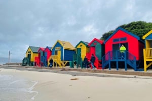 Cape Town: Cape Peninsula & Boulders Beach Shared Tour