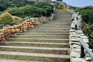 Cape Town: Cape Peninsula & Boulders Beach Shared Tour