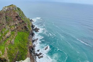 Cape Town: Cape Peninsula & Boulders Beach Shared Tour