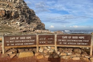 Cape Town: Cape Peninsula & Boulders Beach Shared Tour