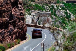 Cape Town: Cape Peninsula & Boulders Beach Shared Tour