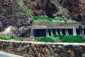 Cape Town: Cape Peninsula & Boulders Beach Shared Tour