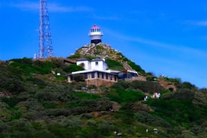 Cape Town: Cape Peninsula & Boulders Beach Shared Tour