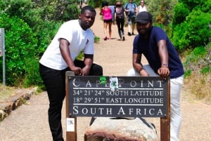 Cape Town: Cape Peninsula & Boulders Beach Shared Tour