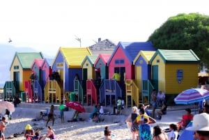 Cape Town: Cape Peninsula & Boulders Beach Shared Tour