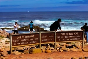 Kaapstad: Cape Peninsula & Boulders Beach Gedeelde Tour