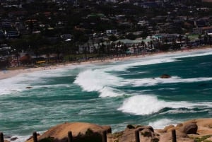 Kaapstad: Cape Peninsula & Boulders Beach Gedeelde Tour