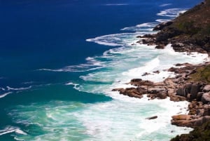 Kaapstad: Cape Peninsula & Boulders Beach Gedeelde Tour