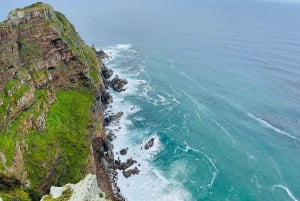 Kaapstad: Cape Peninsula & Boulders Beach Gedeelde Tour