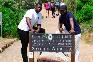 Kaapstad: Cape Peninsula & Boulders Beach Gedeelde Tour