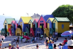 Kaapstad: Cape Peninsula & Boulders Beach Gedeelde Tour