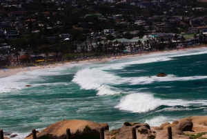 Кейптаун: Кейп-Пенинсула и Боулдерс-Бич Общий тур