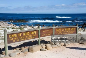 Ciudad del Cabo: tour de medio día por la península del Cabo con guía