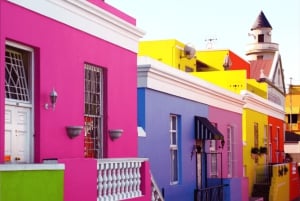 Kaapstad: halve dagtour Kaapse Schiereiland met pinguïns