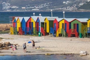 Kaapstad: halve dagtour Kaapse Schiereiland met pinguïns